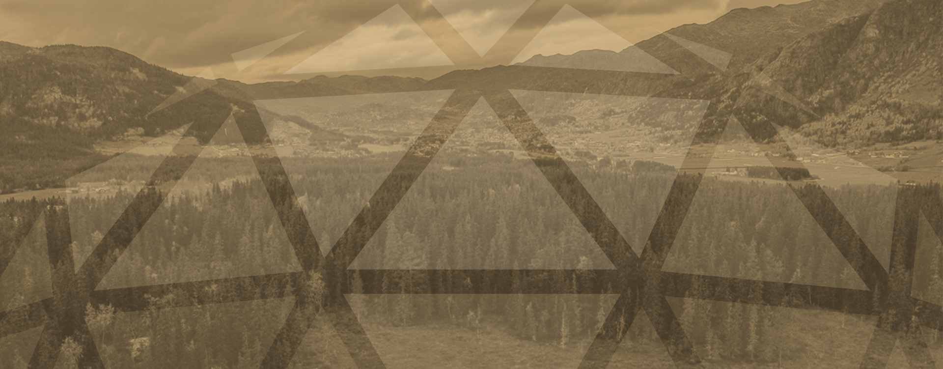 Dogsleding with Hemsedal Huskies